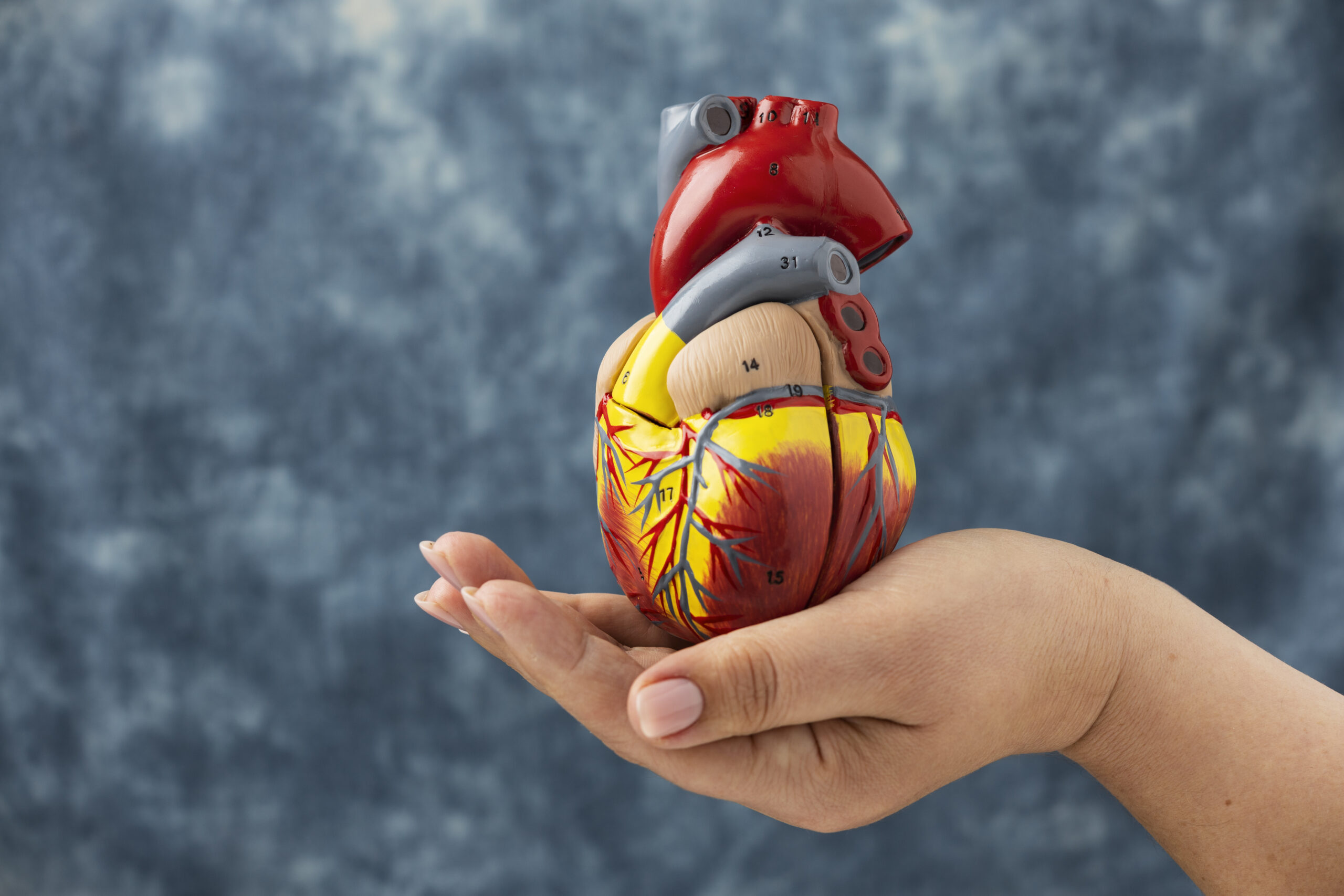 SmartCare360 | Coronary Artery Disease - Image Name SmartCare360 | Coronary Artery Disease - Image Name